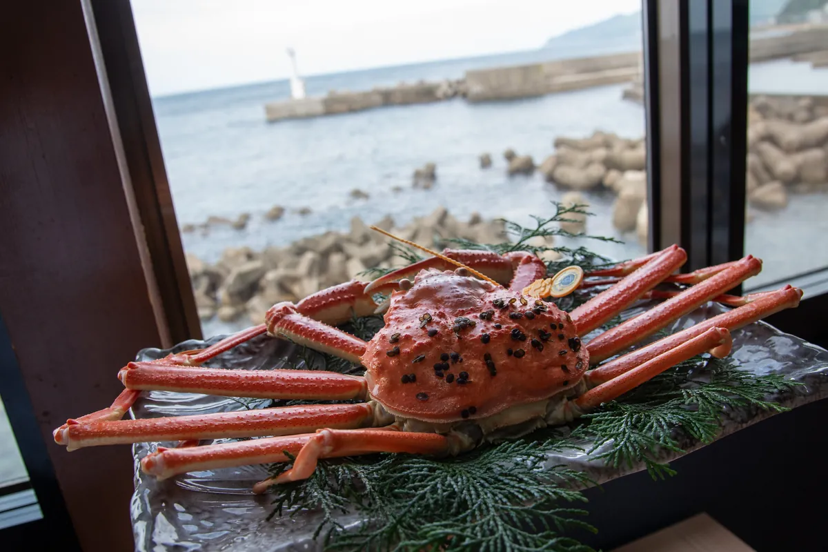 日本海を望む窓辺の越前がに