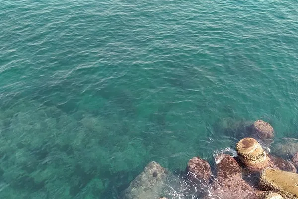 透明度の高い海