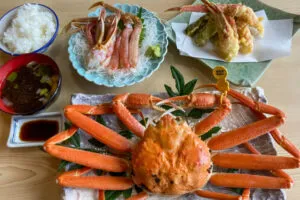 越前がにコース