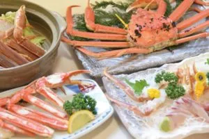 越前がに控えめコース