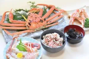 越前がに せいこ丼コース
