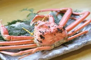 特大越前がにフルコース